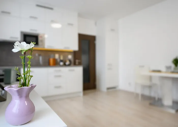 Dory Apartment